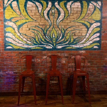 Agave Mural by Gigi Douglas